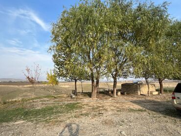 Torpaq sahələrinin satışı: Kənd təsərrüfatı — 22