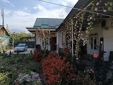 Продажа коттеджей и домов: В продаже Дом с огородом 18 соток . Для более детального обсуждения — 1