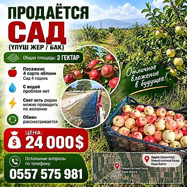 племенные хозяйства в кыргызстане: 300 соток, Для сельского хозяйства — 1