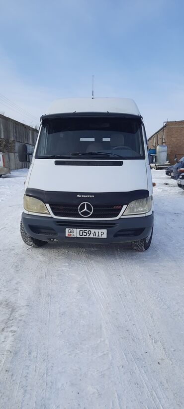 Mercedes-Benz: Mercedes-Benz Sprinter: 2004 г., 2.9 л, Механика, Дизель, Бус