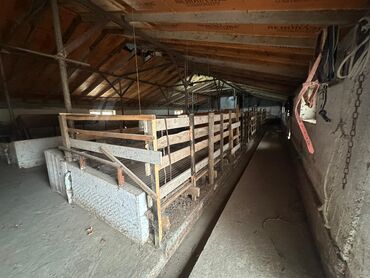 Продажа домов: Времянка, 400 м², 2 комнаты, Собственник — 12