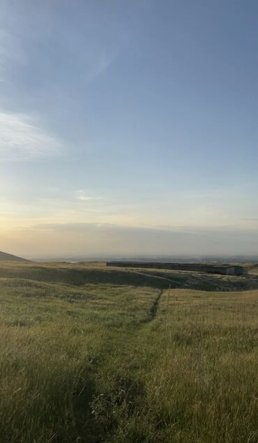 Сельхоз предприятия: Продаю Кошара, 50 соток, Действующий, Без оборудования, Электричество — 7