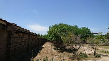 Torpaq sahələrinin satışı: 25 sot, Tikinti, Makler, Kupça (Çıxarış) -da lalafo.az — 3 Torpaq sahələrinin satışı: 25 sot, Tikinti, Makler, Kupça (Çıxarış) — 3