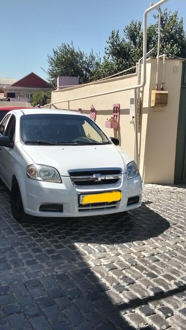 Chevrolet: Chevrolet Aveo sedan – ağ rəng, 4 qapılı, ön ötürücülü şəhər — 1