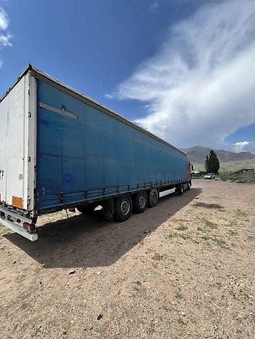 daf 95 480: Тягач, DAF, 2005 г., Тентованный — 5