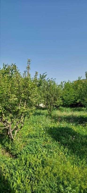 Офисы: 8 соток, Для бизнеса, Красная книга, Договор купли-продажи