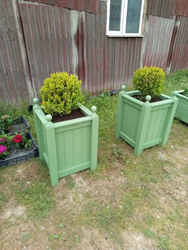 Bitkilər üçün dibçəklər: Taxtalar ile ve, restoran, ofis, otel ve s. Məkanlarınızın müasir və -da lalafo.az — 2 Bitkilər üçün dibçəklər: Taxtalar ile ve, restoran, ofis, otel ve s. Məkanlarınızın müasir və — 2