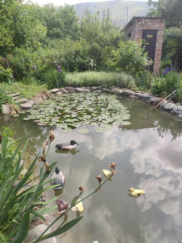 Продажа домов: Дача, 65 м², 4 комнаты, Собственник, Евроремонт — 12