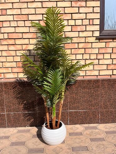 Декоративные цветы: Искусственные деревья и цветы — долговечный и стильный декор без at lalafo.kg — 6 Декоративные цветы: Искусственные деревья и цветы — долговечный и стильный декор без — 6