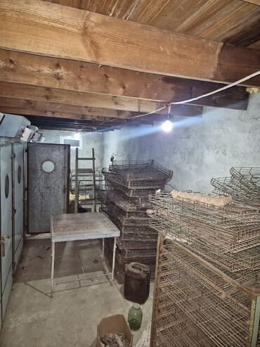 İnkubatorlar: 5000 yumurta, Bütün növ quşlaq üçün — 4