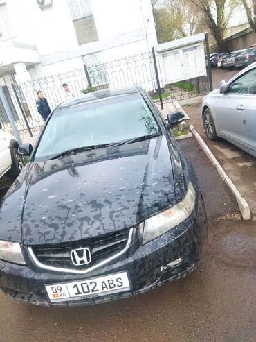 цыплята бройлеры бишкек: Honda Accord: 2003 г., 2.4 л, Автомат, Бензин, Седан