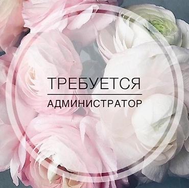 Администратор