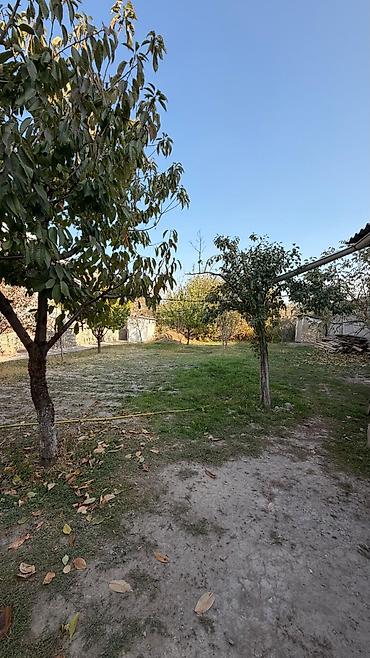 арчалы: 5 комнат, 200 м², 8 соток, Бишкек, Киргизия 1 Собственник — 10