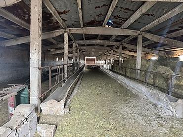 гараж продаю: Сдаю Ферма, 100 голов, 150 соток, Электричество, Водопровод — 3