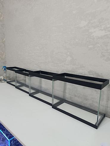 afcarka qara: Akvaryum şüşə akvariumlar – 3 fərqli ölçüdə - 44×18×29 sm – 22,5 litr — 8
