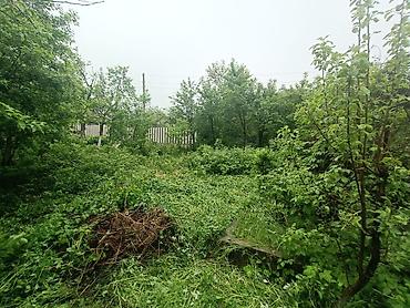 Продажа дач: Дача Кой-Таш.Кирпичный дом 6 соток."Эдельвейс".Красная книга.Все — 3