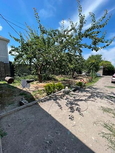 Продажа коттеджей и домов: 4 комнаты, 82 м², 6 соток, Бишкек, Учкун с. Агентство недвижимости — 18
