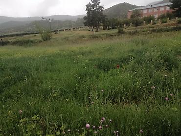 Torpaq sahələrinin satışı: 35 sot, Mülkiyyətçi, Kupça (Çıxarış) — 8