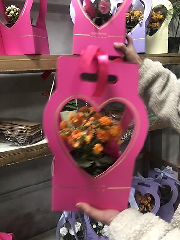 Подарочная упаковка: Подарочные композиции в коробке-сумке - Живые комнатные — 10