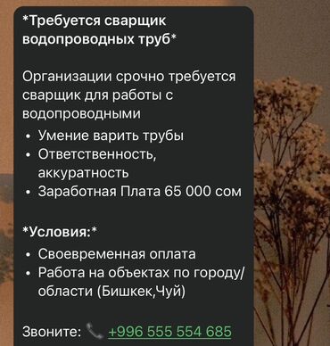 работа в европе для кыргызстанцев 2023 без знания языка: Талап кылынат Ширетүүчү, Төлөм Ай сайын, Тажрыйбасы бир жылдан аз
