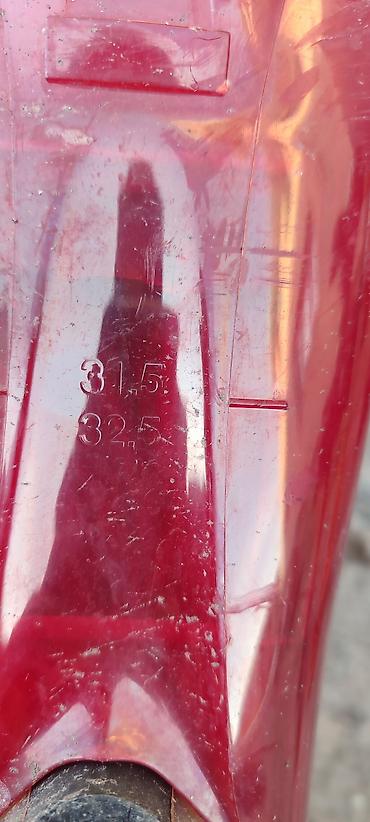 Лыжи: Rossignol, С креплениями — 10