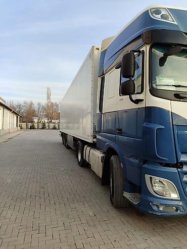 Тягачи: Тягач, DAF, 2014 г., Холодильник, рефрижератор — 17