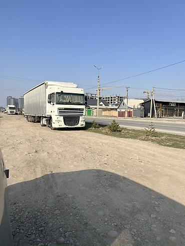 Тягачи: Тягач, DAF, 2012 г., Тентованный — 1