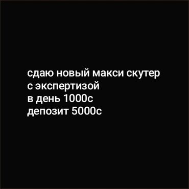 нужны ли права на мопед в кыргызстане: Макси скутер 150 куб. см, Бензин, Новый