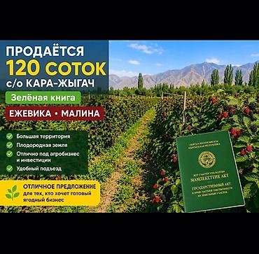 premium development: 120 соток, Для сельского хозяйства, Договор купли-продажи — 1