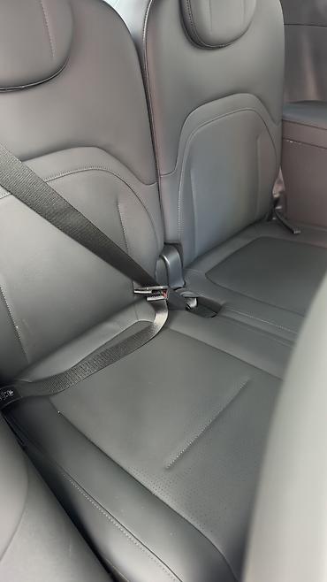 Dongfeng: Dongfeng : 2024 г., 1.5 л, Автомат, Электромобиль, Внедорожник — 9