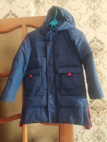 turkce kurtka ne demek: Женская куртка цвет - Синий