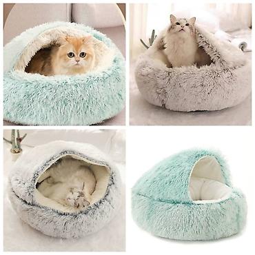 Продажа собак: Устали от шерсти и линьки.Продаю машинку для стрижки собак и — 28