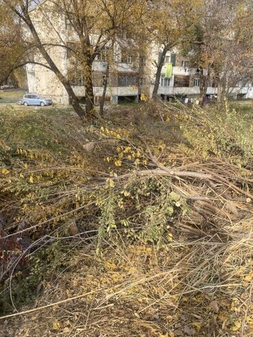 купить углорез по дереву: Дрова at lalafo.kg купить углорез по дереву: Дрова