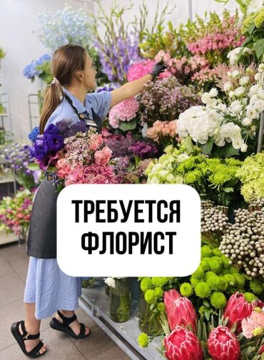 работа в фастфуде бишкек: Требуется флорист с опытом работы около 1 года. Режим работы с 9 -21 2