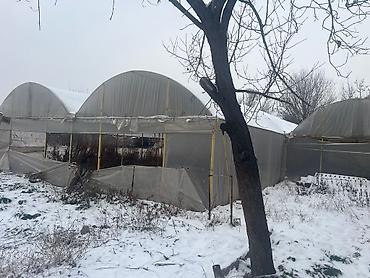 плёнка для теплицы: Продаю теплицу(каркас), без земли, самовывоз - само вынос. 360м/кв — 4
