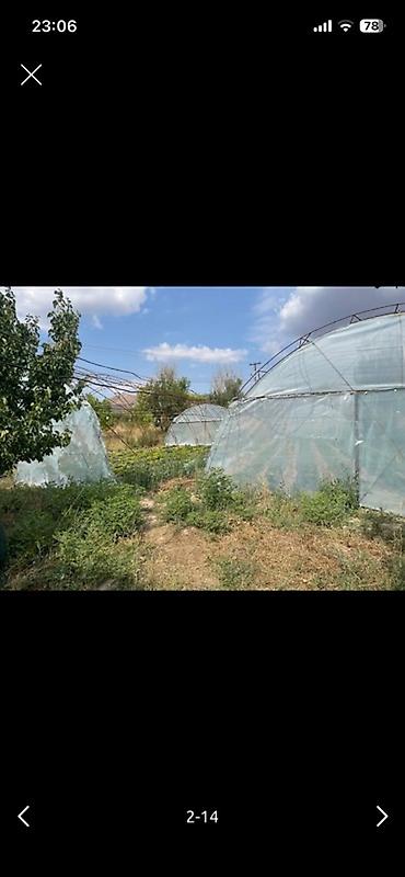 Теплицы: Тепличный комплекс каркасного типа - Арочные теплицы на металлическом — 2