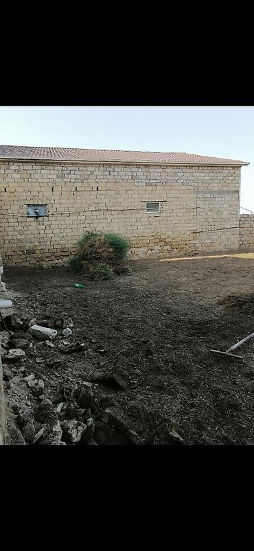 bag evlerinde is: Bağban, 44 yaş, 5 ildən artıq təcrübə — 4