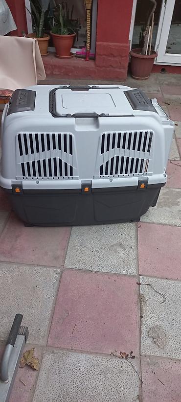 it ucun dermanlar: SKUDO heyvan daşıma konteyneri - Brend/model: SKUDO (korpus üzərində — 3