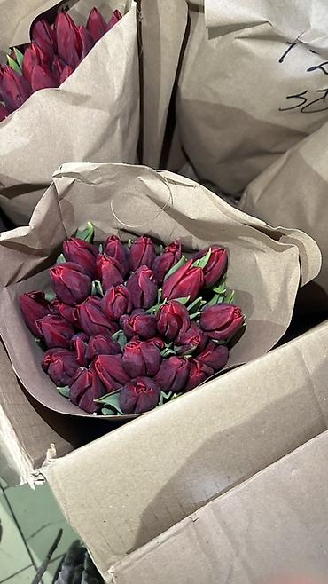 Букеты из живых цветов: Тюльпаны, срезка в крафт-упаковке. - Ассортимент оттенков — 3