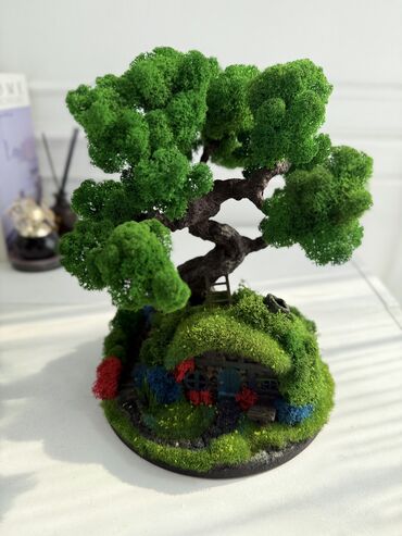 Декоративные цветы: Бонсай ручной работы из натурального стабилизированного мха от 1500 — 27
