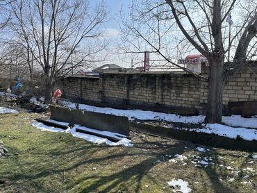 Torpaq sahələrinin satışı: 12 sot, Kənd təsərrüfatı, Mülkiyyətçi, Kupça (Çıxarış) — 8