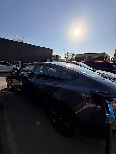 Tesla: Tesla Model 3: 2023 г., Автомат, Электромобиль, Седан — 4