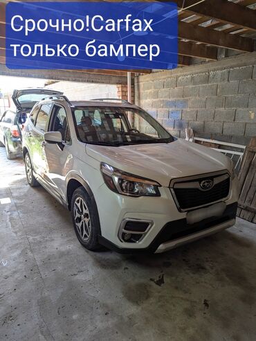 хода адисе: Subaru Forester: 2019 г., 2.5 л, Вариатор, Бензин, Кроссовер