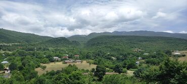 Torpaq sahələrinin satışı: 12 sot, Mülkiyyətçi, Kupça (Çıxarış) — 18