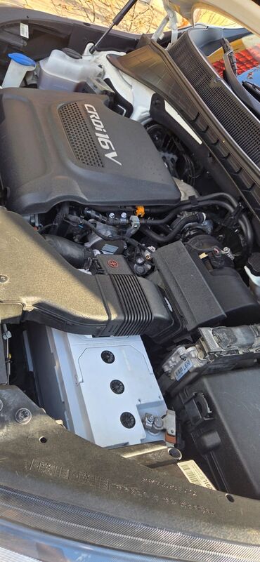 Kia: Kia Sorento: 2 l | 2014 il Ofrouder/SUV — 12