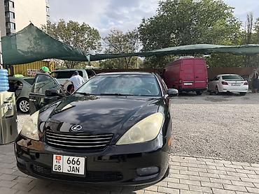 Lexus: Lexus ES: 2003 г., 3 л, Автомат, Бензин, Седан — 4