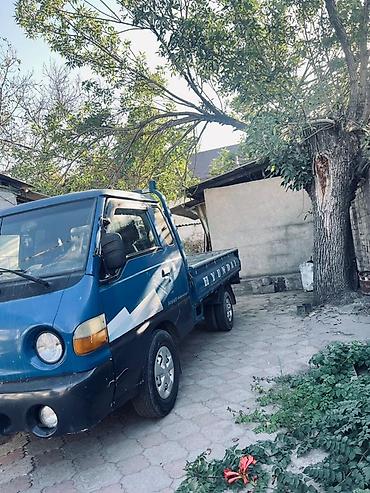 пл: Hyundai Porter (кабина + бортовой кузов) - Компактный грузовик с — 2