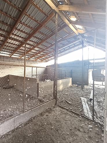 Продажа коттеджей и домов: 📌В селе Беловодское продается дом из 4-х комнат на участке 20 соток — 17