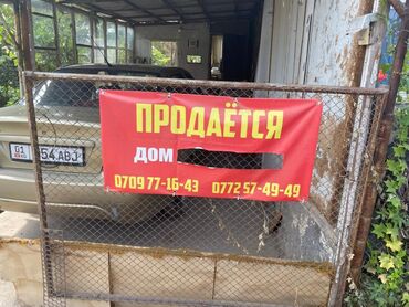 дом в токмаке: 5 соток, Красная книга