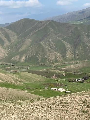 кошару: Кошара, 144 соток, Действующий, С оборудованием, Газ, Электричество, Канализация — 3